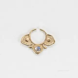 Septum